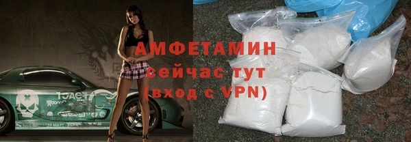 стаф Богданович