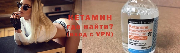 стаф Богданович
