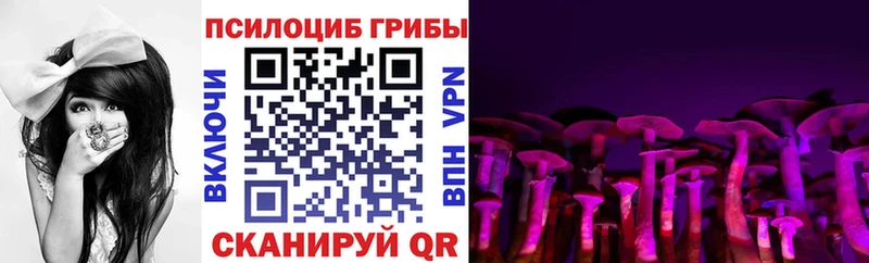 Псилоцибиновые грибы Cubensis  наркошоп  Кимры 
